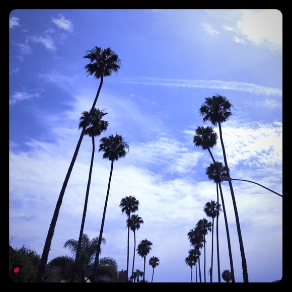 Meet your Posher, Jakii - Picture 1 of 2